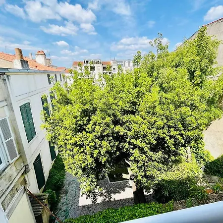 Lägenhet La Chaloupe - Terrasse Et Wifi